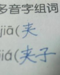 夹子的夹组词(夹子的夹组词部首)