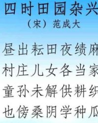 杂兴怎么组词