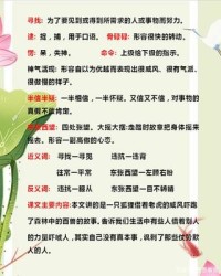 人的组词怎么组(人的组词怎么组词)