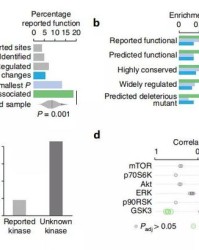 组识怎么组词组化