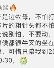 毛毡的毡还能怎么组词