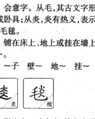 毯组词(毯组词拼音部首)