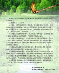 森林的林怎么组词