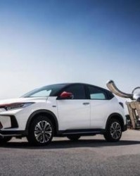 辟怎么组词语(辟怎么组词语读音)