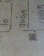 便利的多音字怎么组词