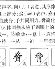 腋的组词(腋怎么读组词)