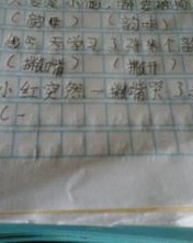 虽怎么组词和造句