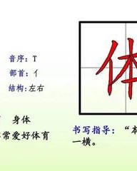 堤ti组词(堤ti组词怎么读)