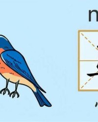 大鸟的鸟怎么组词