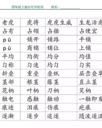 皱的拼音和组词