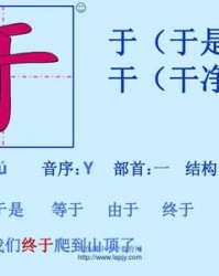 净怎么组词(净怎么组词两个字)