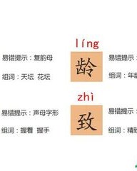 龄怎么组词(龄怎么组词组词语)