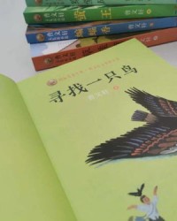 给我讲个鸟怎么组词