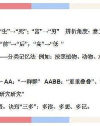 漂怎么组词挑战性强