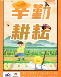 茁壮的卓怎么组词