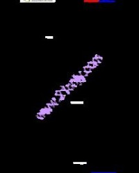 快慢的怎么组词