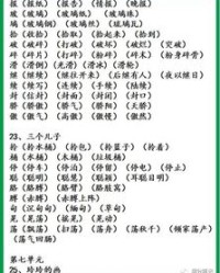 快放的快怎么组词