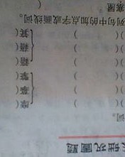 小猫的声音怎么组词