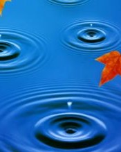 照样的漾怎么组词