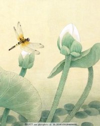 描写荷花的荷怎么写组词