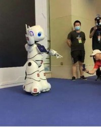 芒果与花组词怎么写