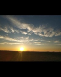 夕阳组词有哪些