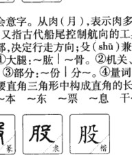 股组词和部首(股的组词是什么和拼音)