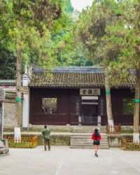 怎么组词茅(茅怎么组词语两个字)