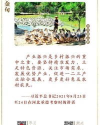 村怎么组词村庄