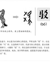 皇的拼音和组词(皇的拼音和组词部首)