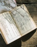 驹怎么组词(㫪怎么组词)