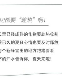 芳草飞怎么组词好听