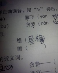 鸯怎么组词语(鸯怎么组词语有哪些)