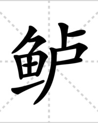 鲈怎么组词(芦怎么组组词)