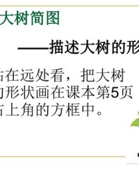 树木的树柱怎么组词呀