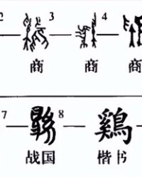 动的劳字怎么组词