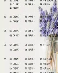 您怎么组词(您怎么组词一年级下册)