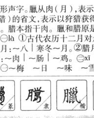 腊的拼音和组词(腊的拼音和组词还有部首)