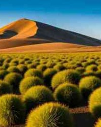 骨的多音字怎么组词(骨的多音字组词怎么组)