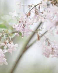 垫的组词(垫的组词和部首)