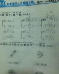 道字怎么组词