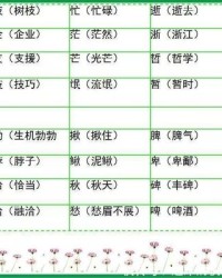 图组词(图组词和部首)