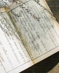 柄怎么组词(栖怎么组词)