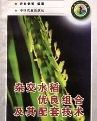 水稻的稻还可以怎么组词