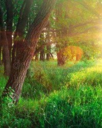 宁静是怎么组词