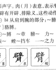 开辟的辟组词(开辟的辟组词部首)