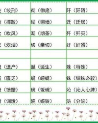 动物的它怎么组词(动物的它怎么组词你别这样说嘛你这傻态度啊)