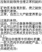 胳膊的膊怎么组词