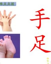 耳目木怎么组词