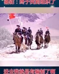 骆驼是怎么组词